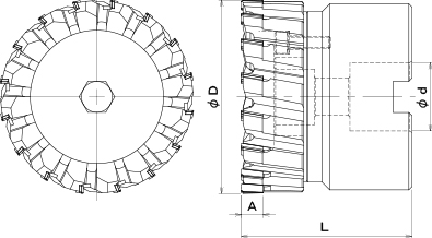 The total length constant zumen.jpg